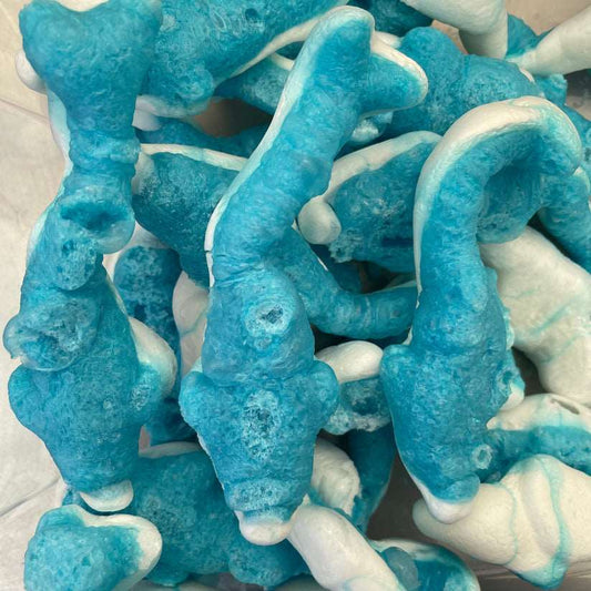 Freeze Dried Blue Raspberry Giant Dolphins (40g)